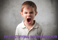 Demystifying misbehaviour: How to keep your kids in line without damaging their self-worth and spirit.